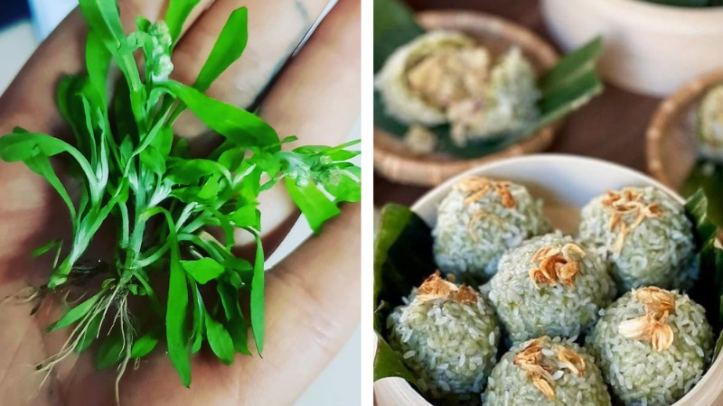 Rau mọc dại trở thành đặc sản, giá cán mốc 500.000 đồng/kg