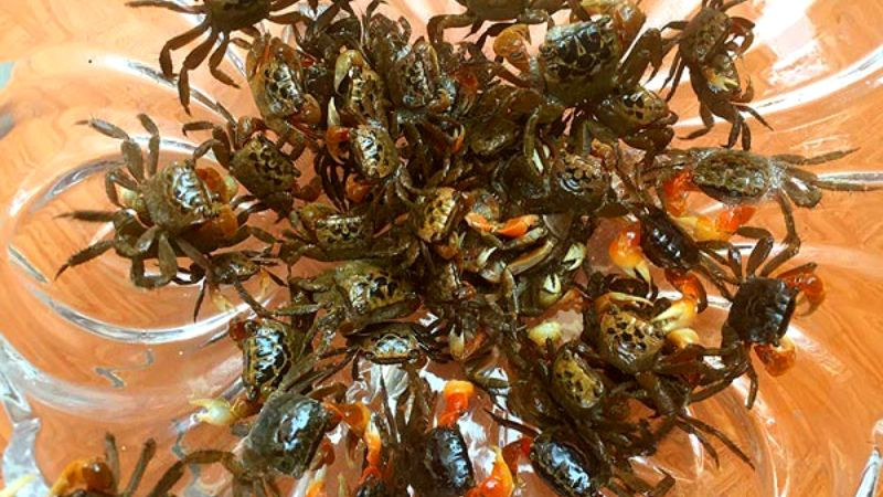 alt text: Cáy được bày bán tại chợ