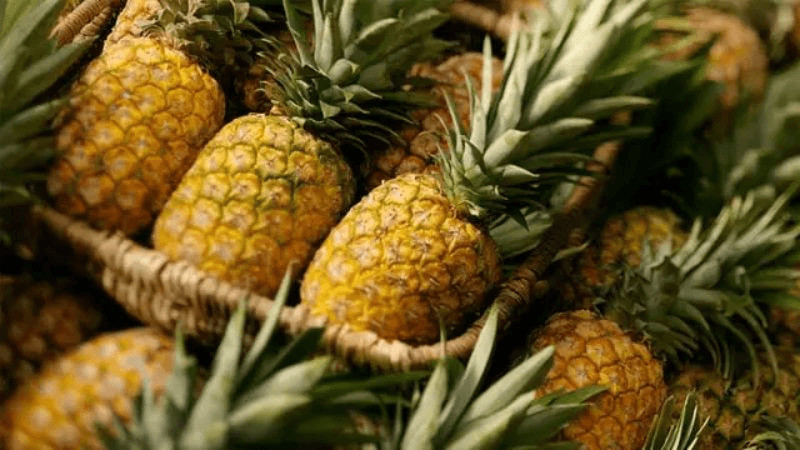 alt text: Dứa Tam Dương, đặc sản Vĩnh Phúc với nhiều loại dứa khác nhau như dứa Hướng Đạo, dứa mật, dứa mỡ gà, mỗi loại đều có hương vị thơm ngon riêng biệt.