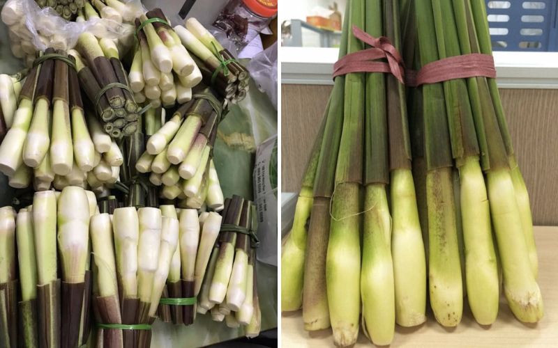 alt text: Hình ảnh củ niễng được bó thành từng bó nhỏ để bán. Mỗi bó thường có khoảng 10 củ niễng, thuận tiện cho việc mua bán và bảo quản.