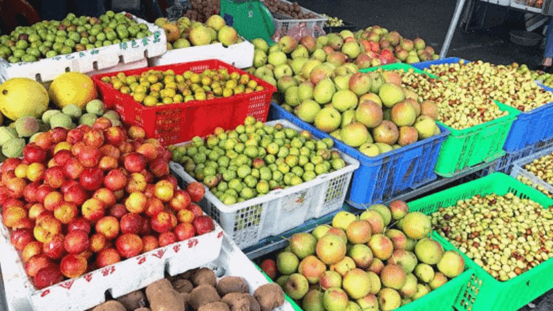 alt text: Lê rừng Tam Đảo, loại quả đặc sản với vỏ đỏ vàng tươi, căng bóng, thịt quả thơm ngon, giòn ngọt, hấp dẫn thực khách.