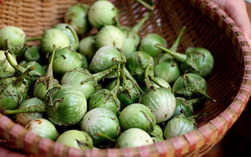 Cà đắng - Đặc sản núi rừng