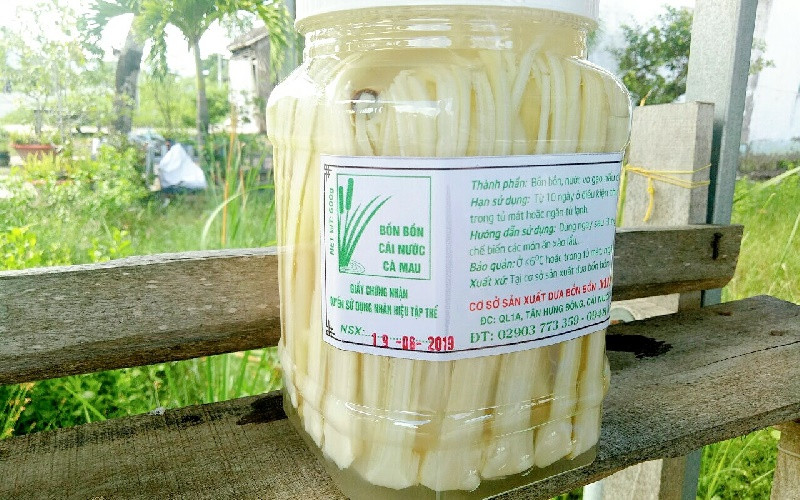 Dưa bồn bồn Cà Mau