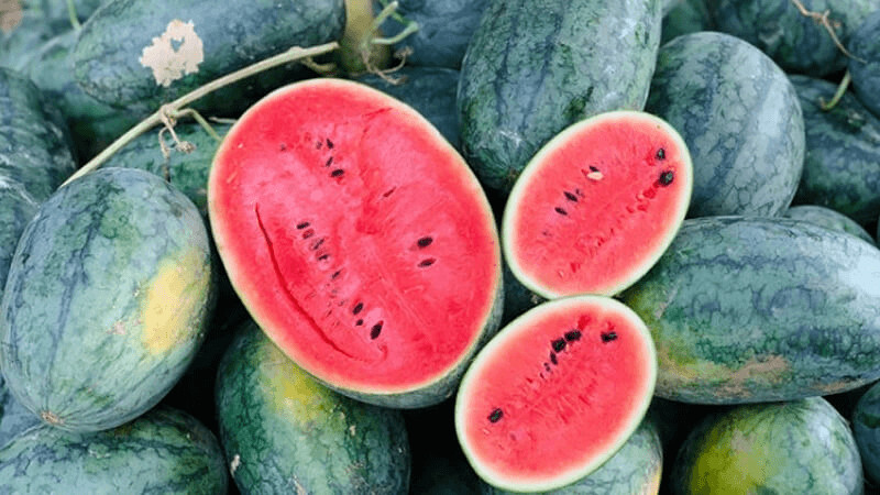 Dưa hấu Tứ Kỳ