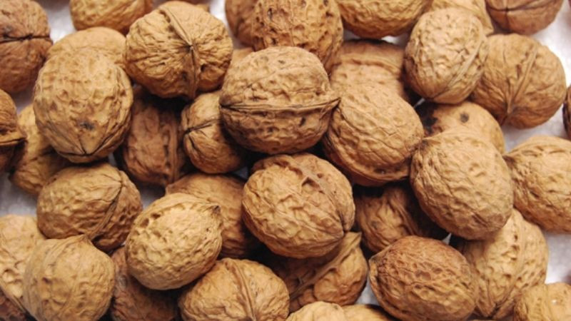 Hạt óc chó rừng Lai Châu