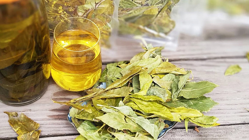 Nước mắm Cửa Hội