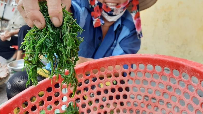 Rau nhót trở thành đặc sản