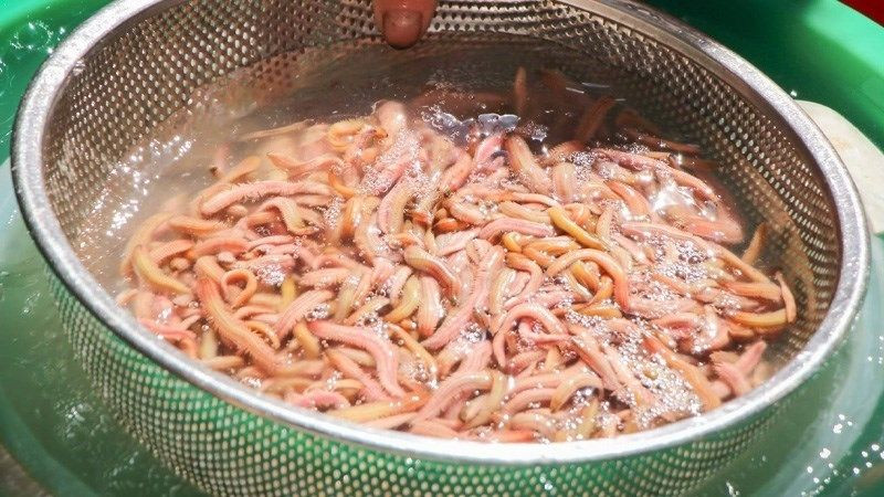 Sơ chế rươi sạch