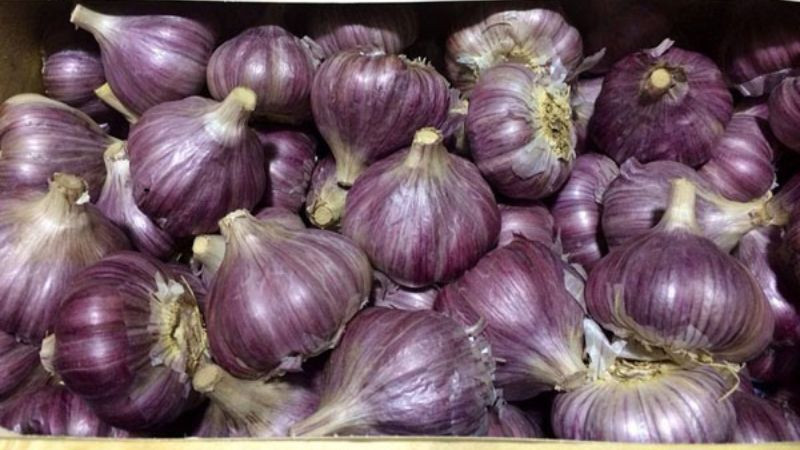 Hòa Bình – Điểm đến đầy đặc sản: Top 15 đặc sản Hòa Bình làm quà