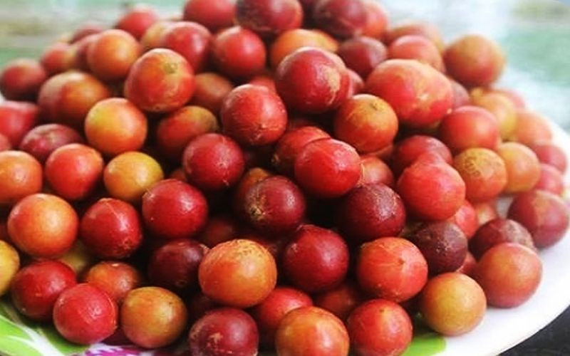 Trái da đá Ninh Thuận